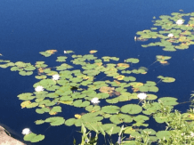 Screen shot 2016-07-07 at 6.00.28 PM